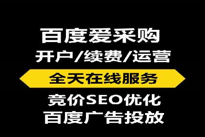 大型企业SEM外包实战案例